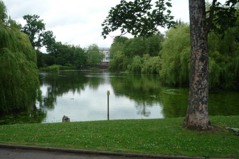 priory-gardens-pond-2012-3